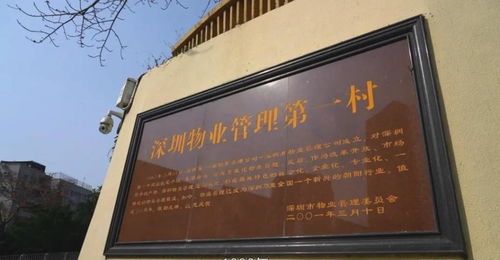 深晚報道 羅湖物業管理改革 40 年 見證多個全國第一和 率先